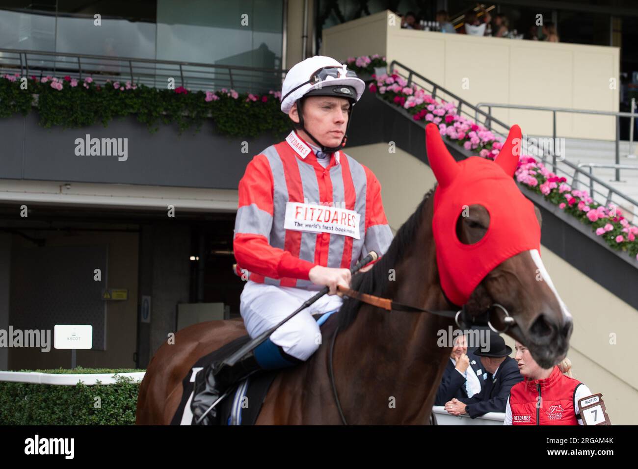 Ascot, Berkshire, Großbritannien. 28. Juli 2023. Horse Holy Fire, geritten von Jockey Callum Shepherd, geht auf die Rennbahn der Ascot Racecourses zum Bernberg October Club, der beim QIPCO King George Weekend die Stuolreader' Handicap Stakes unterstützt. Kredit: Maureen McLean/Alamy Stockfoto