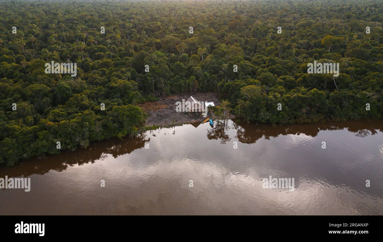 AMAZONAS-FLÜSSE, UMGEBEN VON DICHTEM DSCHUNGEL, WERDEN DIE MÄANDER BEOBACHTET Stockfoto