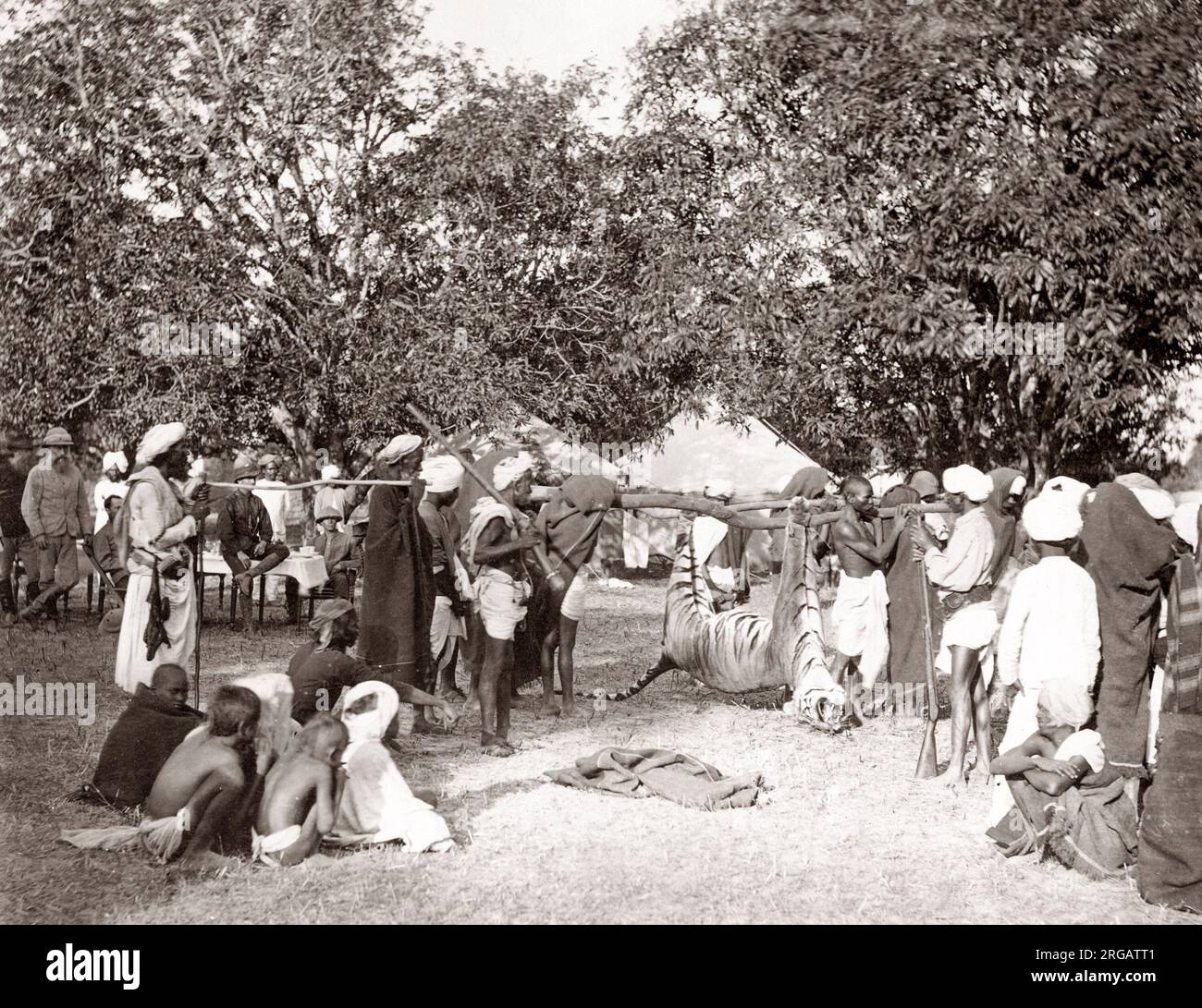 Tiger Hunt Serie von Colonel Willoughby Wallace Hooper, 1837-1912, fotografiert in den 1870er Jahren. Eine der hier aufgeführten Serien. Stockfoto