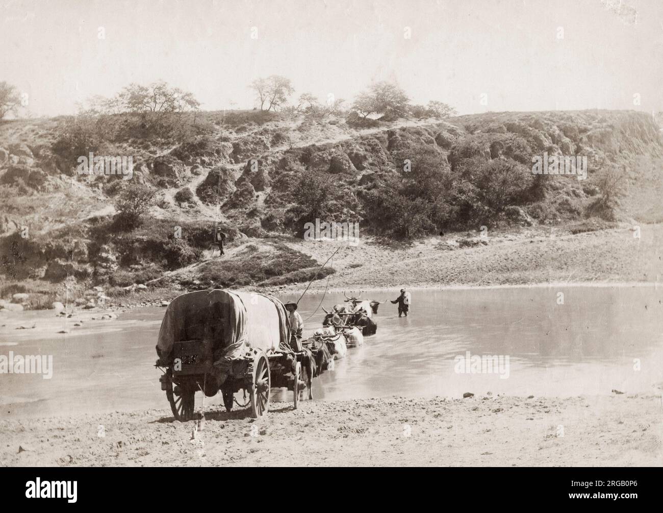 Vintage 19th Jahrhundert Foto: Ochse gezeichnete Waggonzug über einen Fluss, Südafrika. Stockfoto
