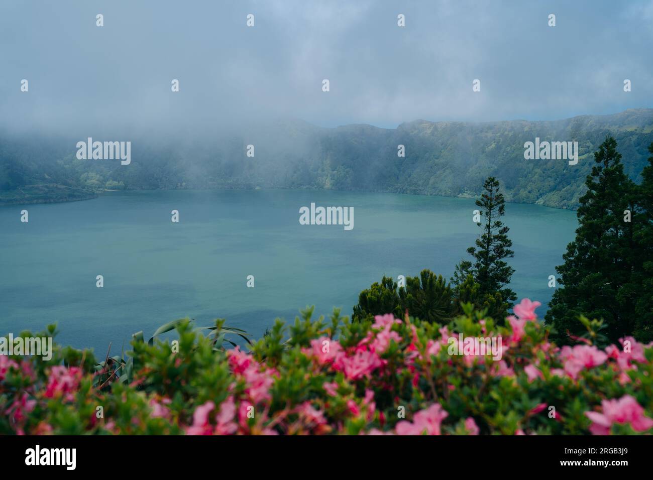Miradouro do Cerrado das Freiras: Ein Panoramablick auf Madeira, Portugal, bietet atemberaubende Aussichten auf die malerische Landschaft Stockfoto