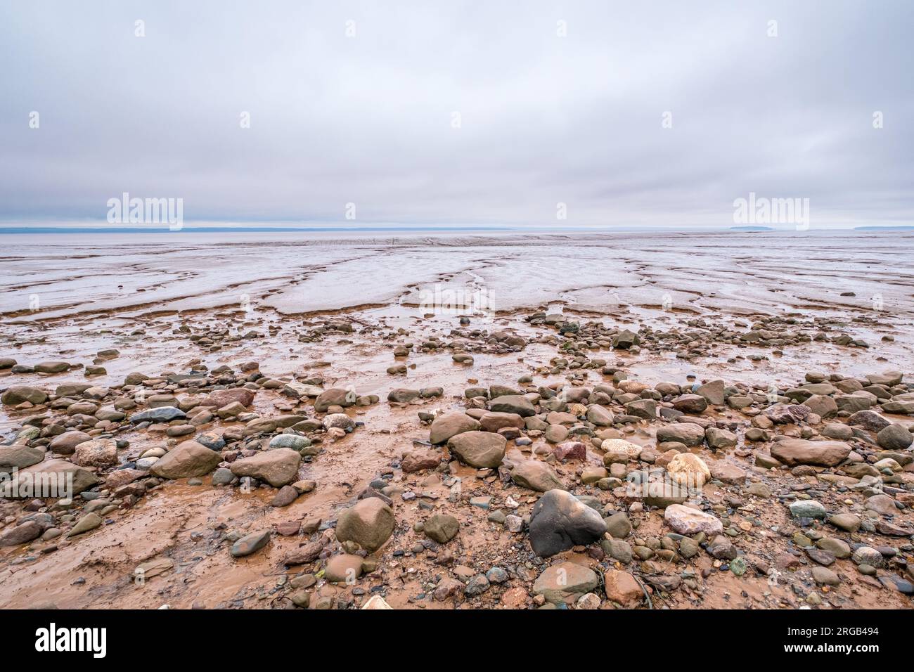 Bei Ebbe in der Bay of Fundy werden weitläufige Schlammflächen enthüllt, während das Wasser zurückgeht. Das ist bei den Daniel Flats in Hopewell Rocks sehr offensichtlich Stockfoto