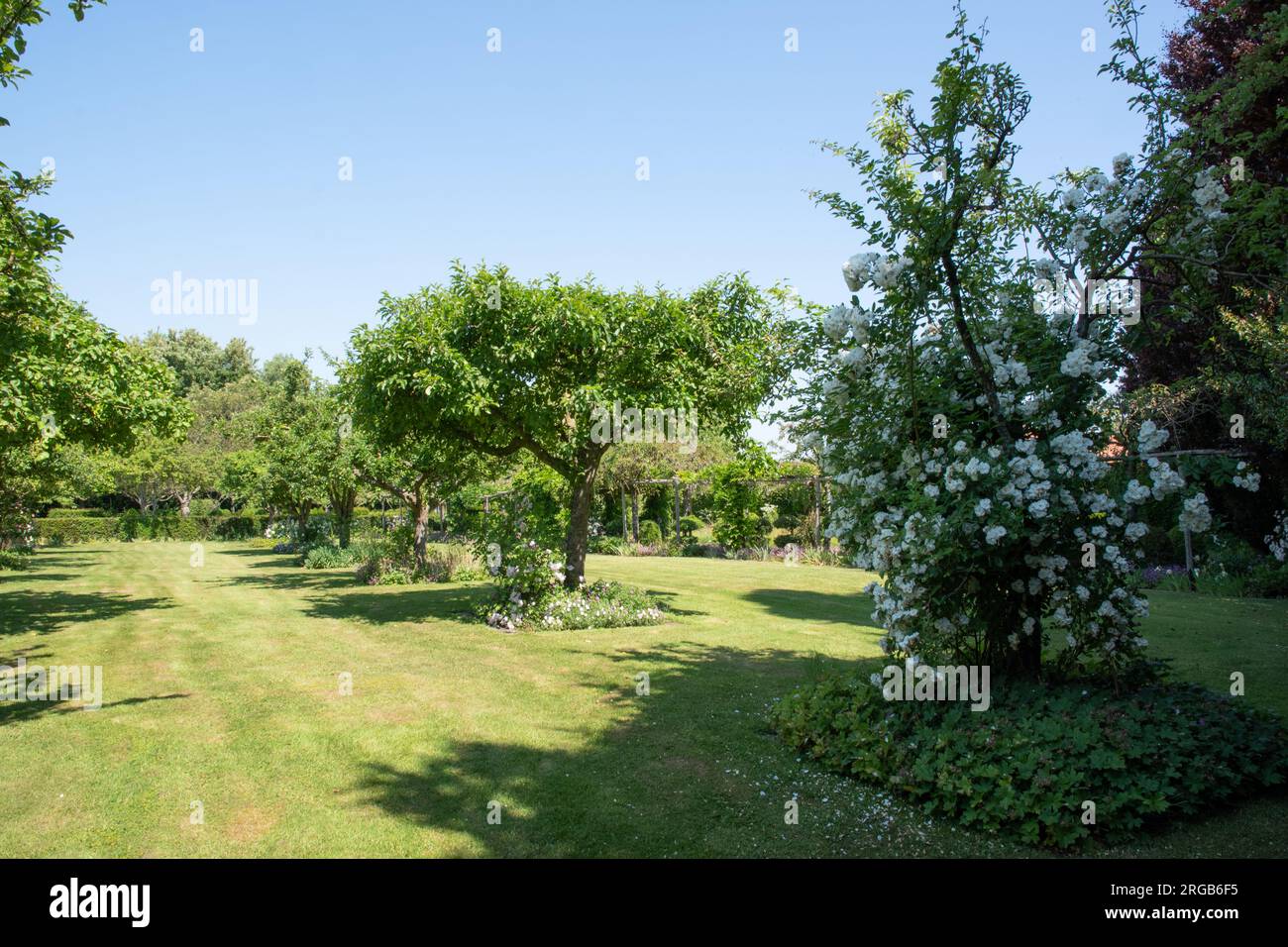 Le verger de Lucie, Jardins de Maizicourt Stockfoto