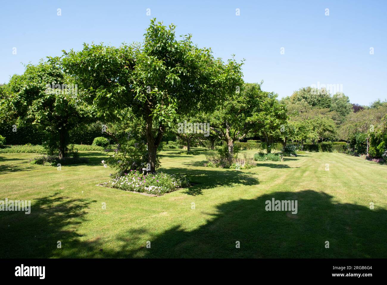 Le verger de Lucie, Jardins de Maizicourt Stockfoto