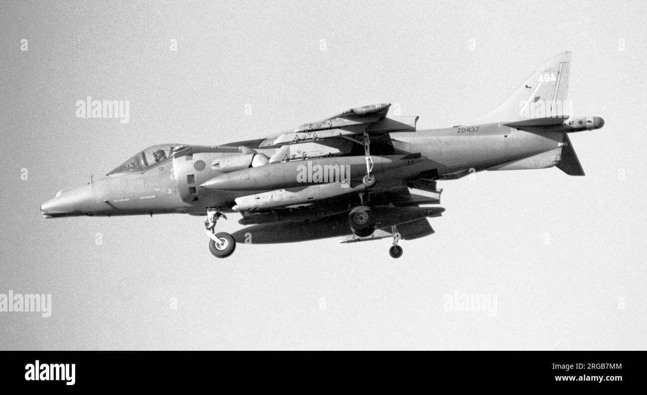 British Aerospace-Boeing Harrier GR.7 ZD437 '49A' (msn TX009), von 20 ( R ) Staffel (früher 233 OCU), nähert sich einer kurzen Landung. Stockfoto