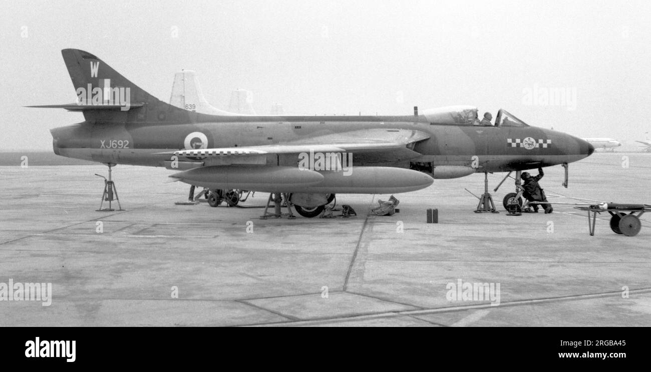 Hawker Hunter F(GA).9 XJ692 'W' (msn 41h-688083), Staffel Nr.43, bei der RAF Lyneham im August 1964, auf Buchsen für Funktionale. XJ692 wurde in den F.56A-Standard umgewandelt und als G-9-276 getestet, womit er als A969 in den Dienst der Indian Air Force trat. Stockfoto