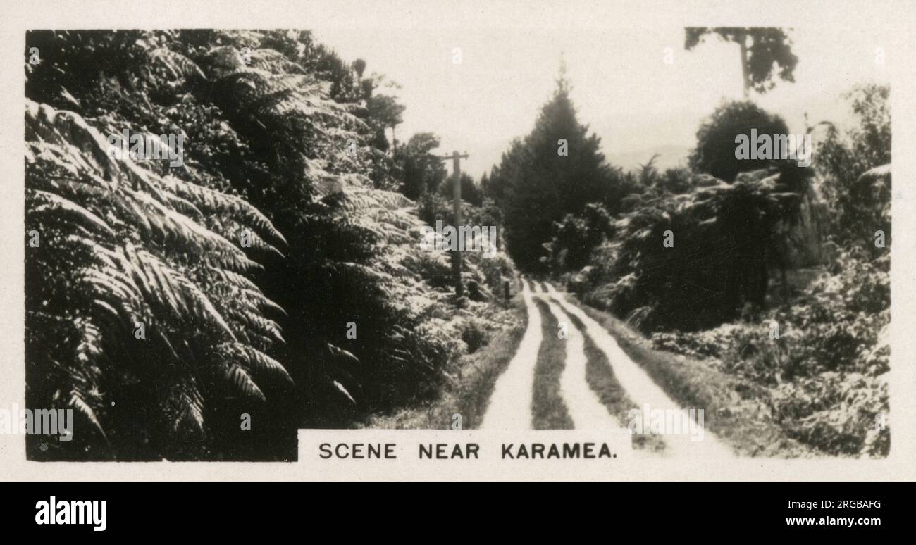 Neuseeland - Szene in der Nähe von Karamea, einer kleinen Stadt an der Westküste der Südinsel. Stockfoto
