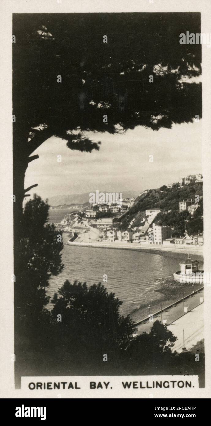 Neuseeland - Oriental Bay, Wellington, einer der malerischen Vororte der Stadt. Stockfoto