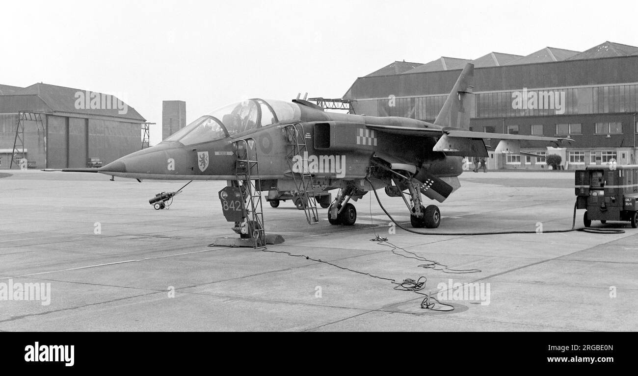 Royal Air Force – SEPECAT Jaguar T.2 XX842 (msn B.30), Nr. 54 Staffel, im März 1976 bei RAF Coltishall. (SEPECAT - Societe Europeenne de production de l'avion Ecole de Combat et d'Appui Tactique). Stockfoto