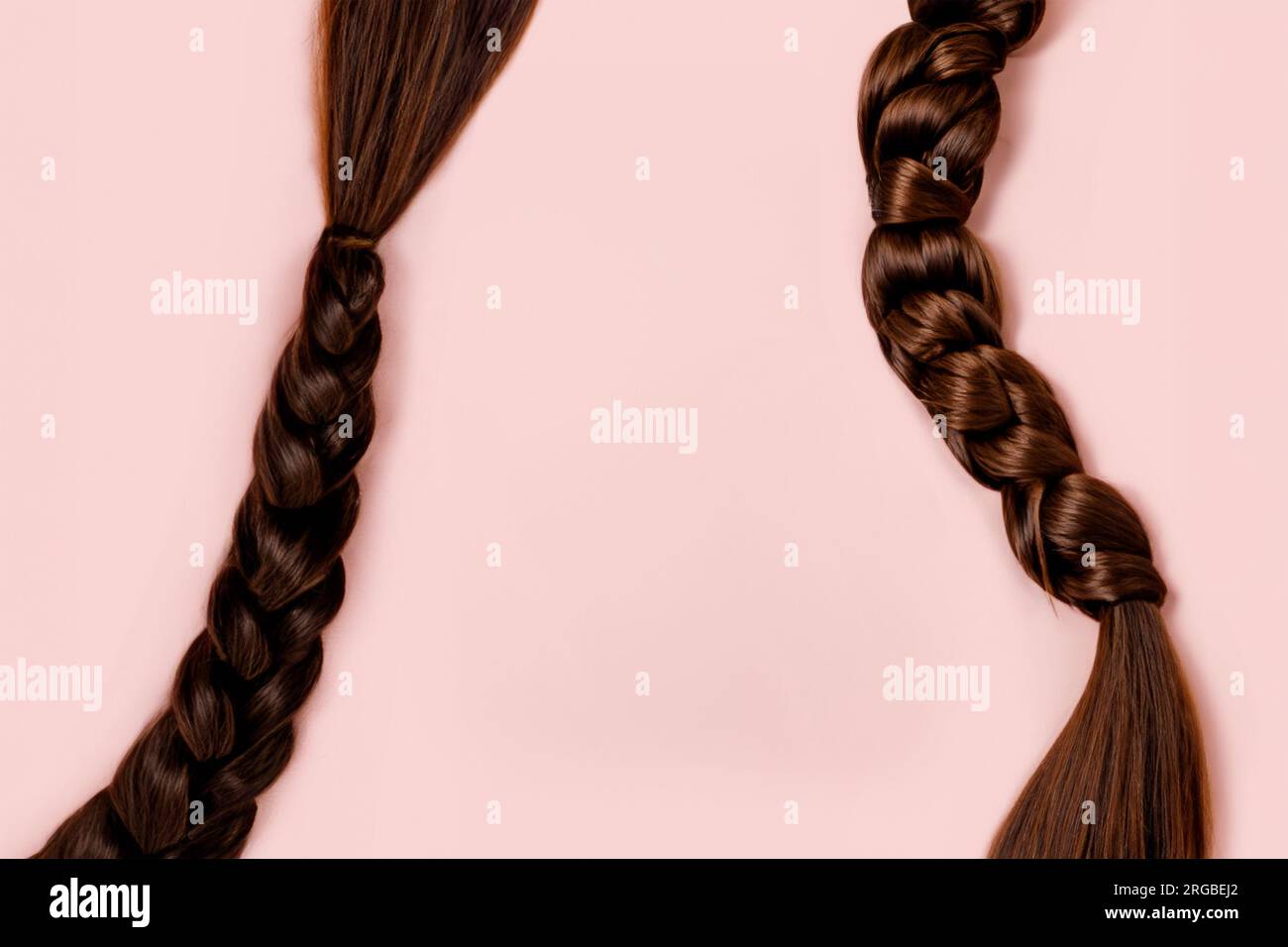 Hintergrund für Produktwerbung. Zwei rote kupferfarbene, lange weibliche Haargeflechte auf pinkfarbenem Hintergrund. Platz für kosmetische Mittel kopieren Stockfoto