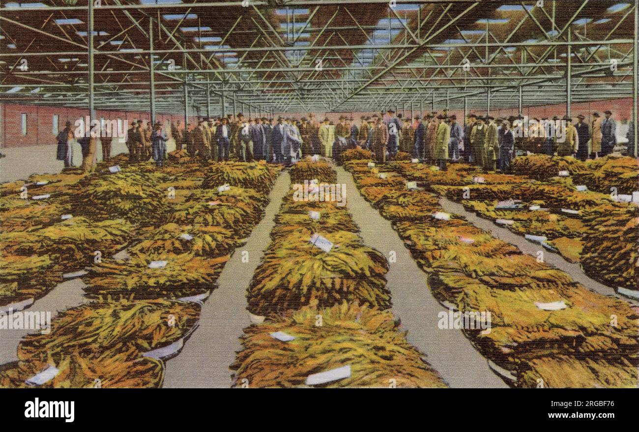 Tabakauktionsverkauf, Greensboro, North Carolina, USA Stockfoto