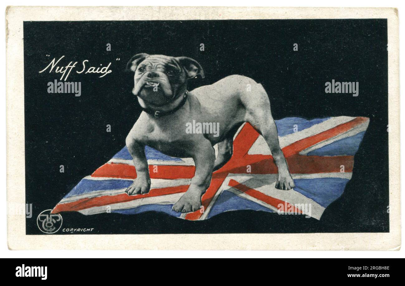 Bulldog und Unionsflagge repräsentieren den Kampfgeist der Nation 9 Tage nach der Schlacht an der Somme. WW1 Stockfoto