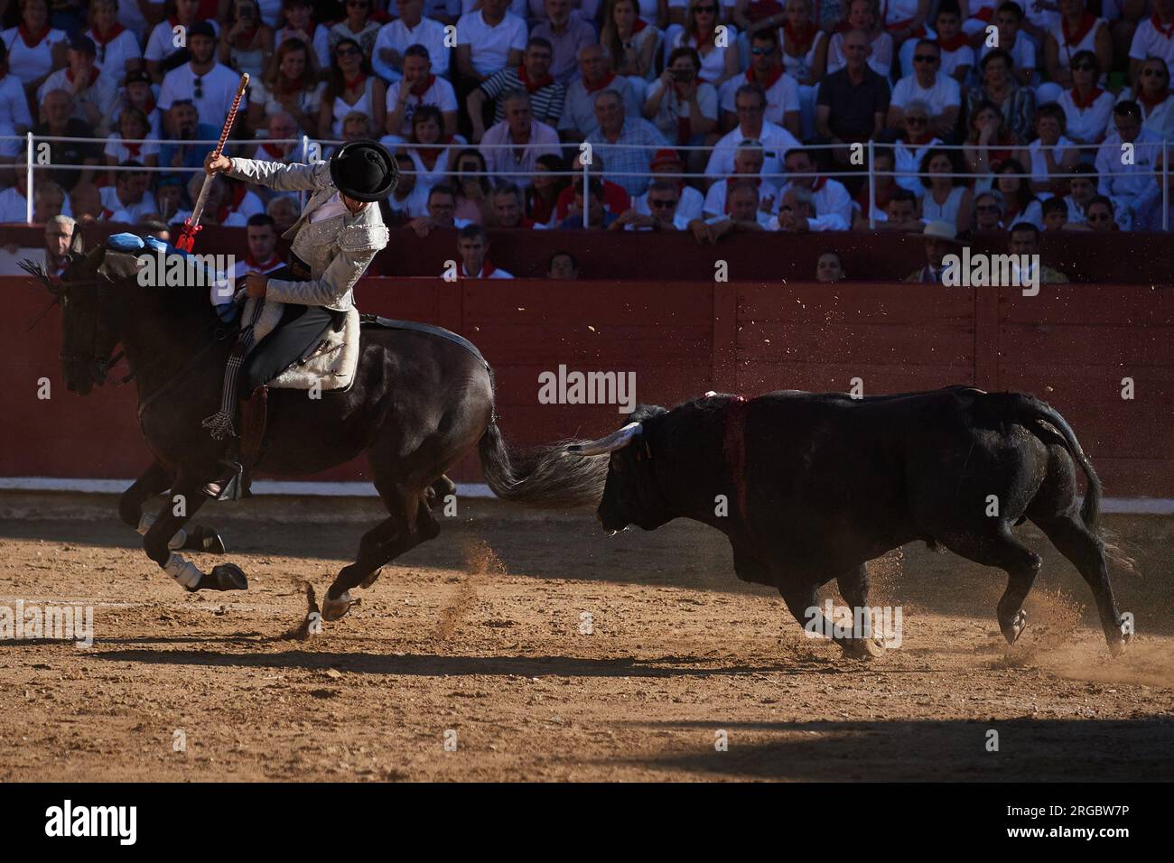 Guillermo Hermoso de Mendoza, auf dem Rücken seines Lusitanischen Pferdes, während des Stierkampfs. Stierkampf auf der Plaza de Estella, Navarra, mit den Rechten Pablo Hermoso de Mendoza, seinem Sohn Guillermo und dem Stierkämpfer Pedro Gutierrez "El Capea". Vier Stiere von der portugiesischen Rinderfarm Tenorio und zwei Stiere von der Rinderfarm Hermanas Azcona de Navarra. Stockfoto