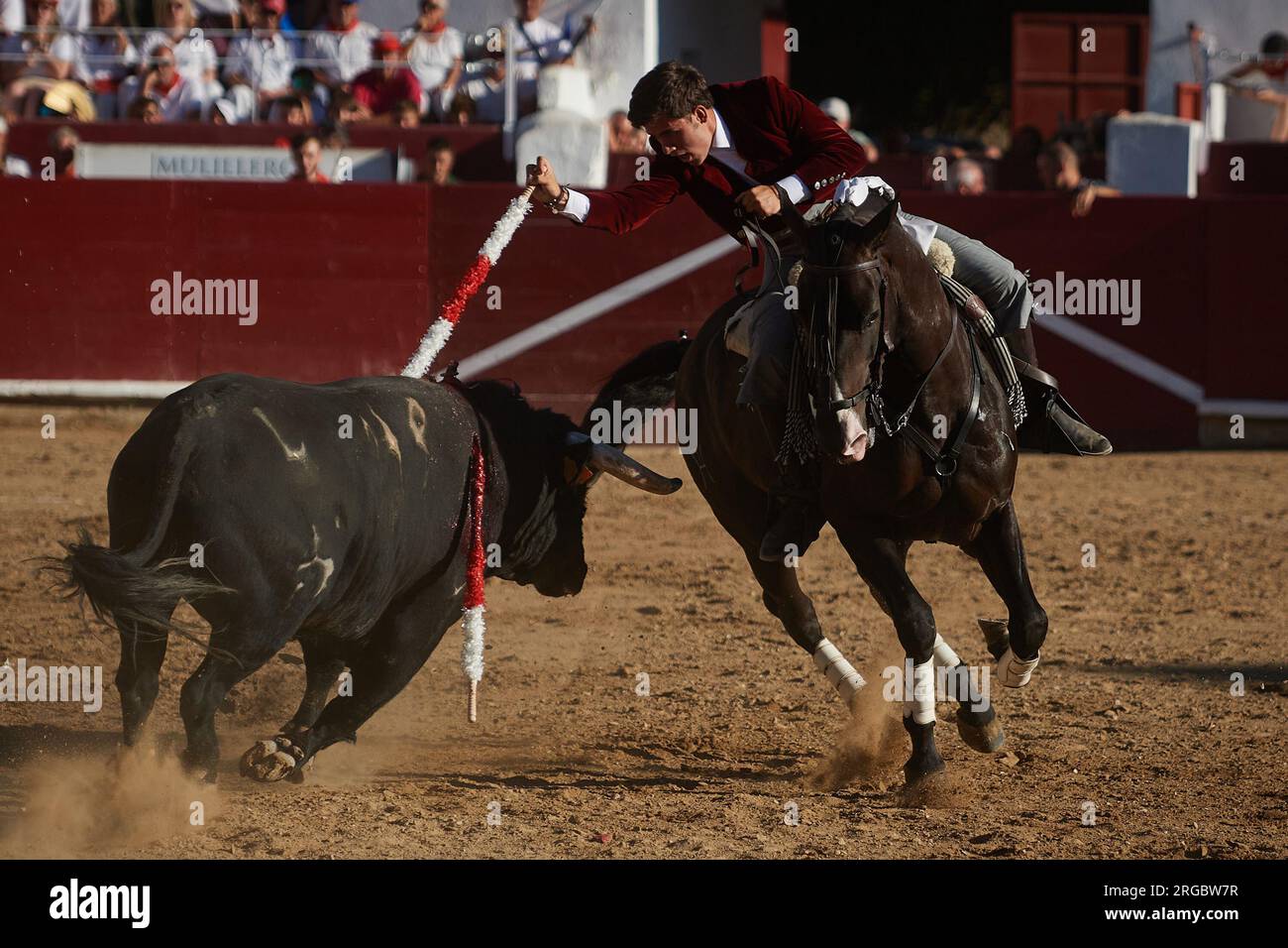 Guillermo Hermoso de Mendoza, auf dem Rücken seines Lusitanischen Pferdes, während des Stierkampfs. Stierkampf auf der Plaza de Estella, Navarra, mit den Rechten Pablo Hermoso de Mendoza, seinem Sohn Guillermo und dem Stierkämpfer Pedro Gutierrez "El Capea". Vier Stiere von der portugiesischen Rinderfarm Tenorio und zwei Stiere von der Rinderfarm Hermanas Azcona de Navarra. Stockfoto