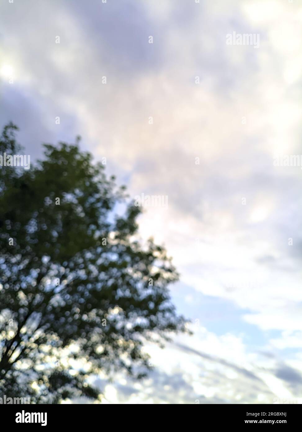 Sonnenuntergang am Himmel mit Wolken, eingerahmt von Baumkronen Stockfoto
