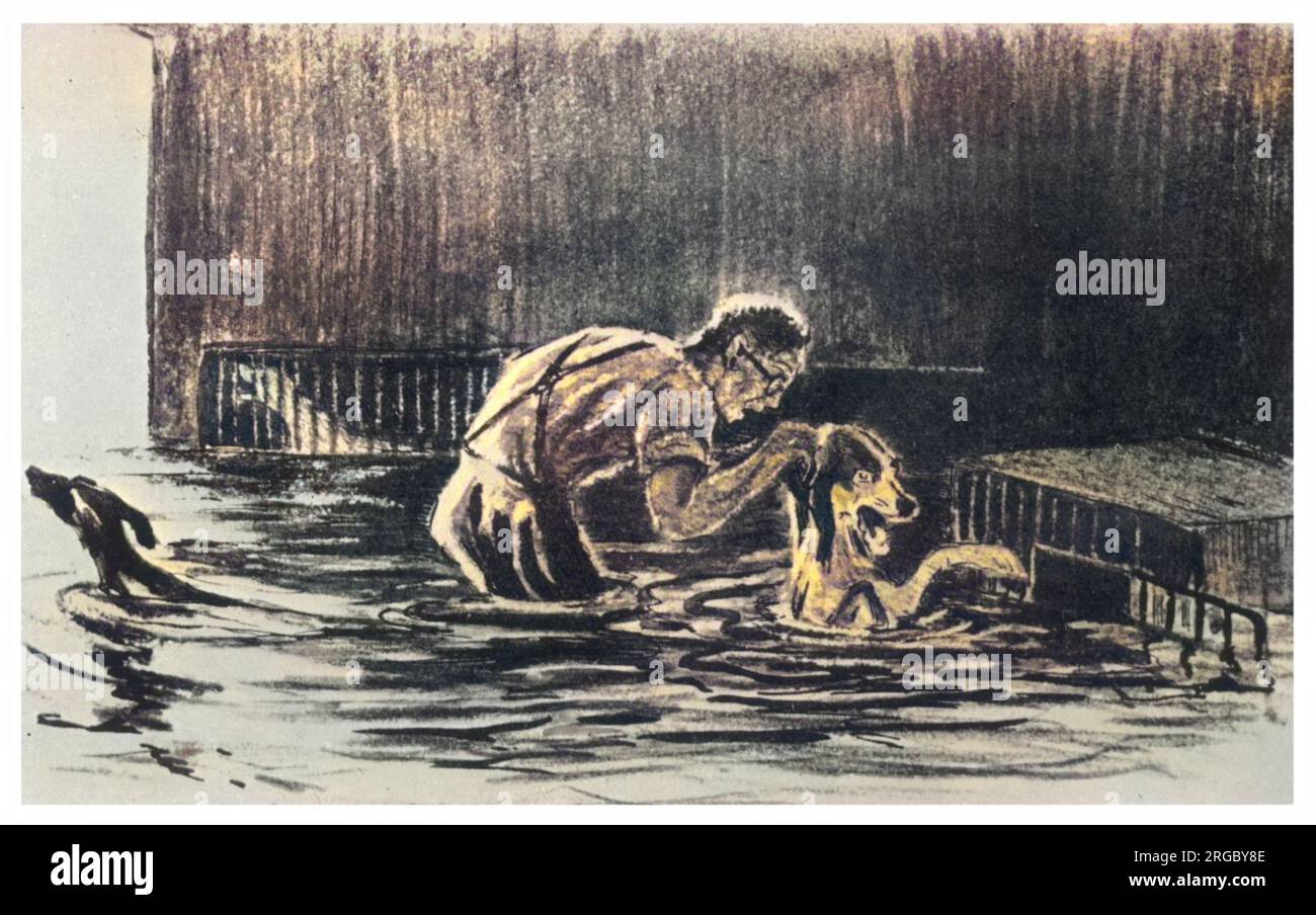Als Pawlows Hunde in einer Flut des Flusses Newa in Leningrad (St. Petersburg) gefangen sind, verändern sich ihre konditionierten Reflexe, was ihn zu einem entscheidenden psychologischen Durchbruch führt. Stockfoto