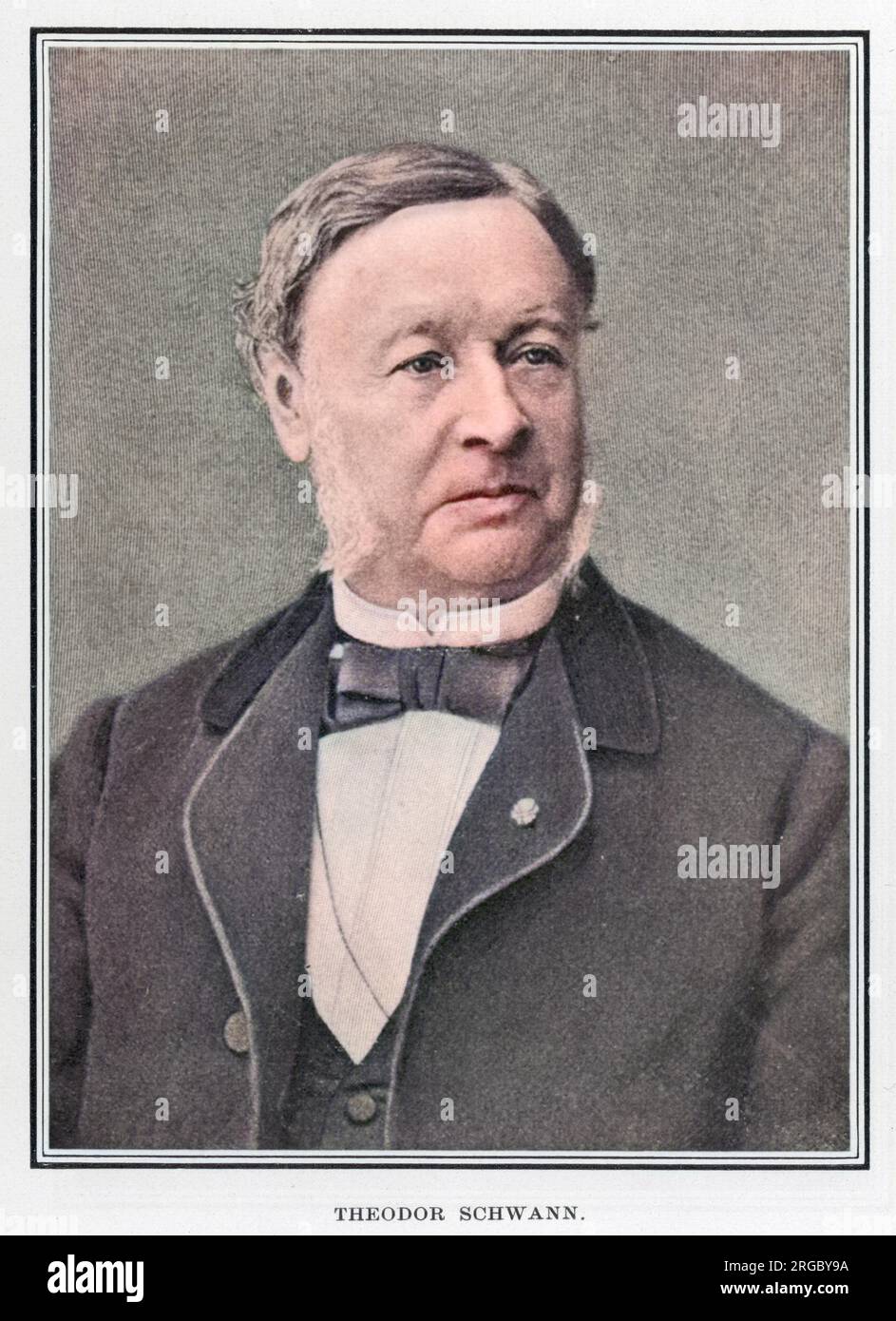 Theodor Schwann (1810-1882), deutscher Physiologe, der viele Beiträge zur Biologie leistete und den Begriff Stoffwechsel prägte. Stockfoto