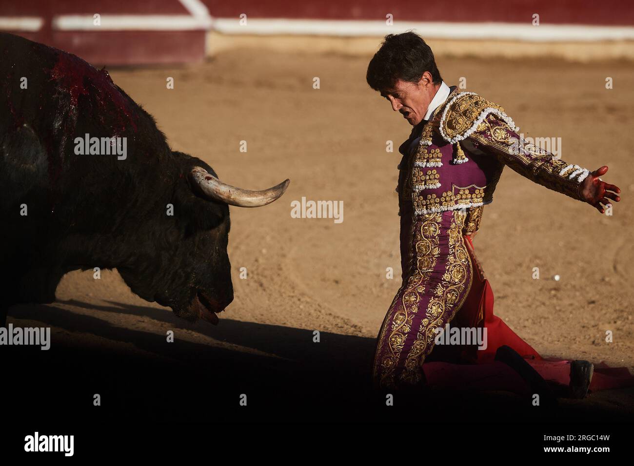 Estella, Spanien. 7. Aug. 2023. Pedro Gutierrez „El Capea“ fordert während der Stierkämpfe einen Stier von der Hermanas Azcona Ranch heraus. Stierkampf auf der Plaza de Estella, Navarra, mit den Rechten Pablo Hermoso de Mendoza, seinem Sohn Guillermo und dem Stierkämpfer Pedro Gutierrez 'El Capea'. Vier Stiere von der portugiesischen Rinderfarm Tenorio und zwei Stiere von der Rinderfarm Hermanas Azcona de Navarra. (Kreditbild: © Elsa A Bravo/SOPA Images via ZUMA Press Wire) NUR REDAKTIONELLE VERWENDUNG! Nicht für den kommerziellen GEBRAUCH! Stockfoto