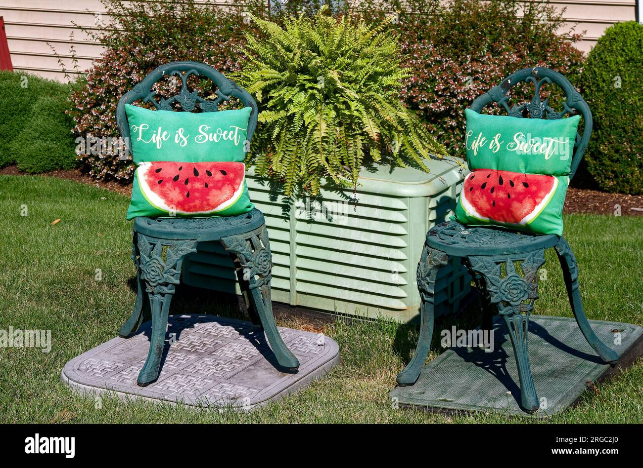 2 grüne schmiedeeiserne Stühle, 2 Wassermelonen-Kissen, „Life is Sweet“, draußen, Farnpflanzen dazwischen, Sträucher, Gras, grüner Einband, attraktiver Sommer Stockfoto