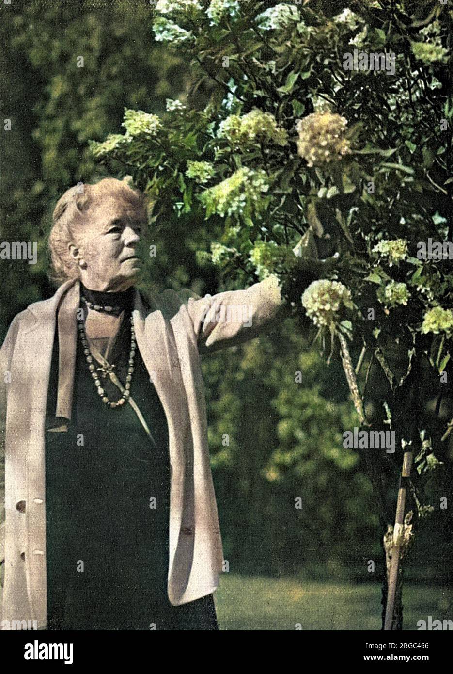 SELMA LAGERLOF, schwedische Schriftstellerin, unter ihren Blumen. Stockfoto