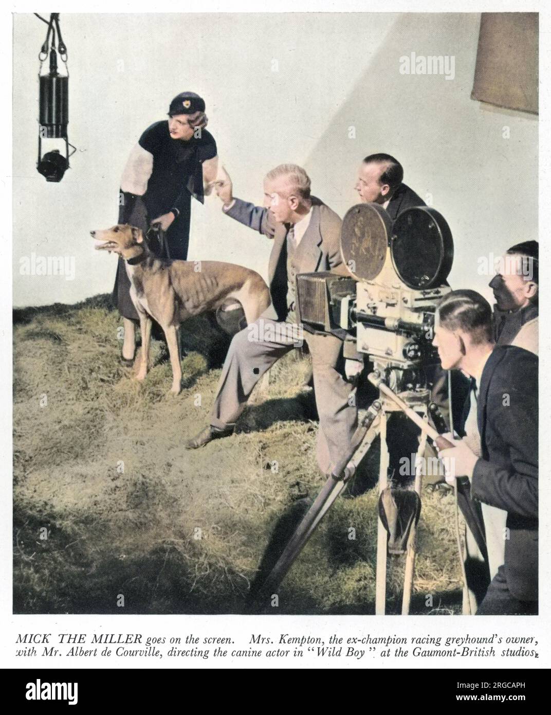 Frau Arundel Kempton, Eigentümerin des ehemaligen Meisters Greyhound Mick the Miller, wird zusammen mit Herrn Albert de Courville, der den Hundystar im Gaumont-britischen Studiofilm "Wild Boy" führt, abgebildet. Stockfoto