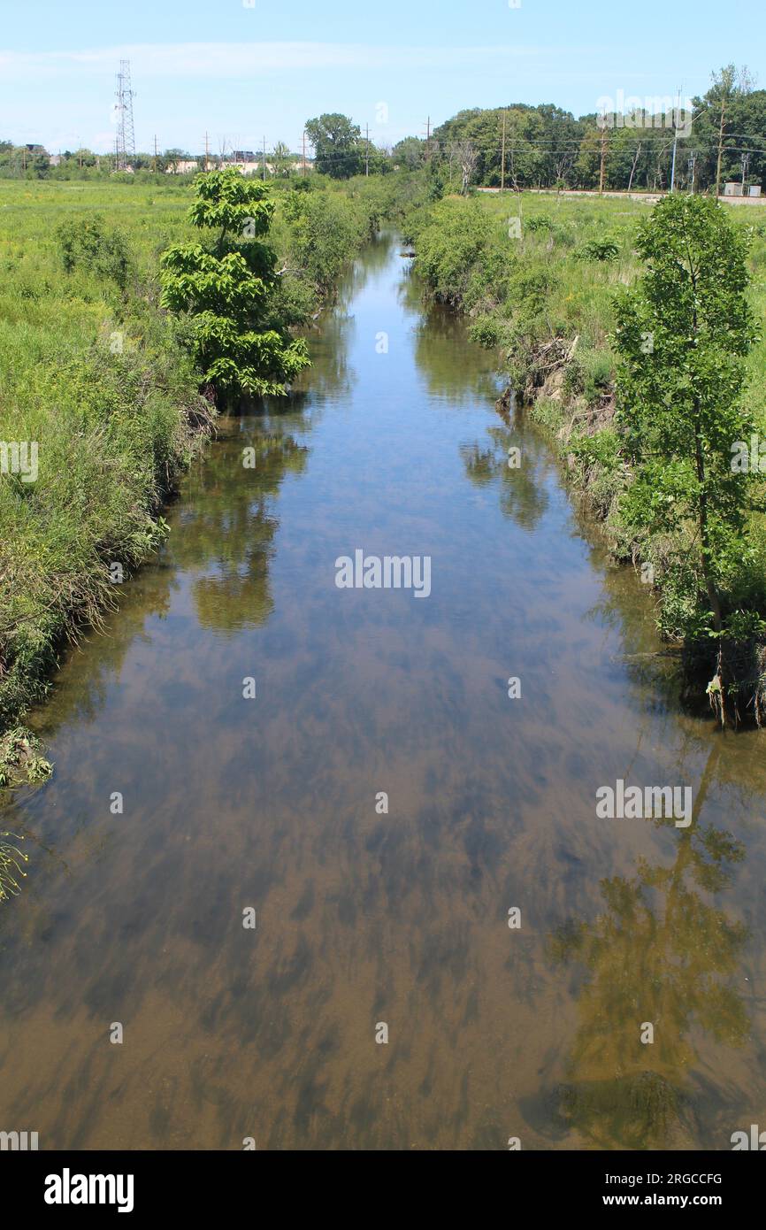 West Fork des North Branch des Chicago River im Somme Prairie Nature Preserve in Northbrook, Illinois Stockfoto