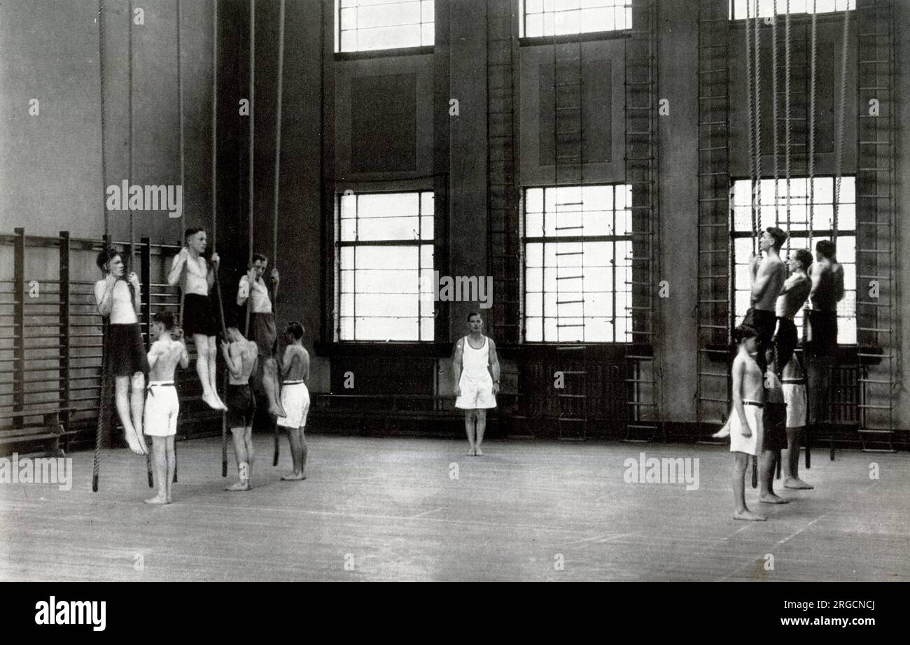 Ein Branch Gymnasium Stockfoto