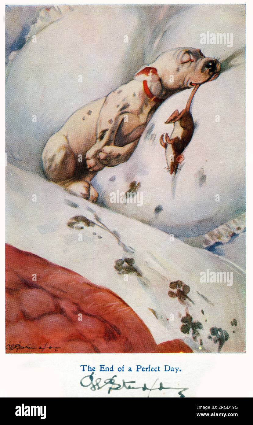 „The End of a Perfect Day“ – Ein Hündchen mit Inhalt kollabiert ins Bett, sein Preis (eine große, fette Ratte) zwischen seinen Kiefern und schlammigen Pfotenabdrücken hinterlässt nur Wunschspuren auf dem sauberen Leinen. Stockfoto