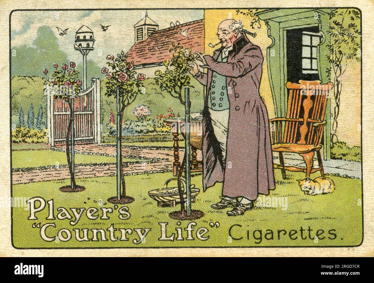 Werbespot, Player's Country Life Cigarettes Stockfoto