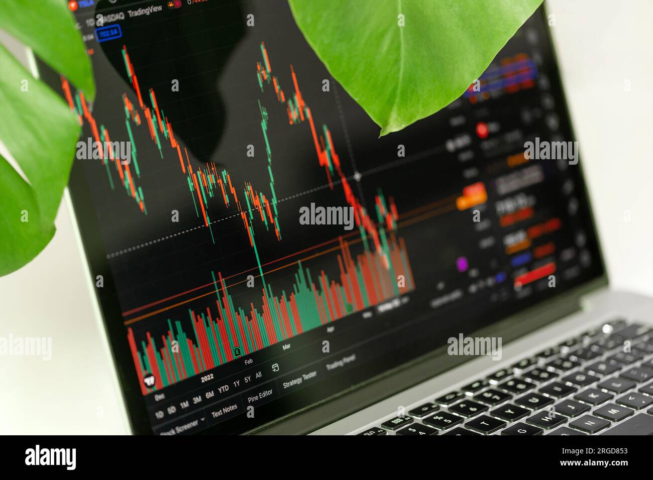 Handelstabelle, die auf dem Bildschirm des Laptops angezeigt wird. Börse, Trendlinie in Kerzenform. Hochwertiges Foto. Stockfoto