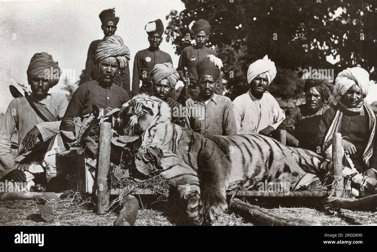 Tigerjagd in Indien, aufgenommen mit einer 3a" Kodak Kamera mit klappbarer Tasche Stockfoto