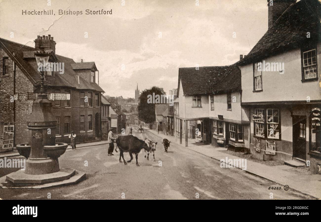 Hockerhill, Bishops Stortford, Hertfordshire - Postkarte der Valentinsserie 1914 Stockfoto