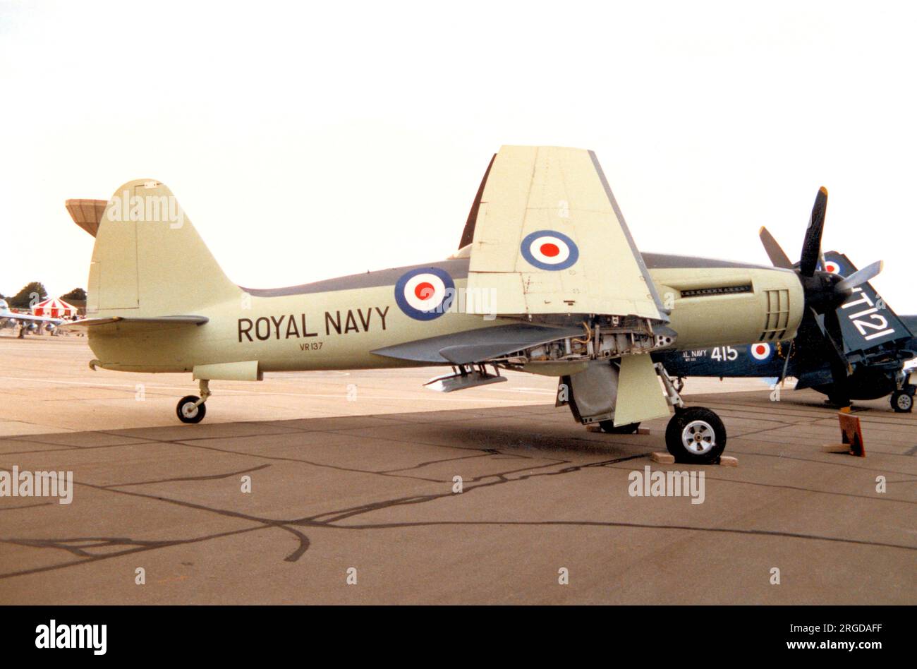 Westland W.34 Wyvern TF.1 VR137, das siebte Vorproduktionsflugzeug, das für Bodenversuche eingesetzt wurde und nie geflogen ist. Im RNAS Yeovilton im Fleet Air Arm Museum zu sehen. Stockfoto