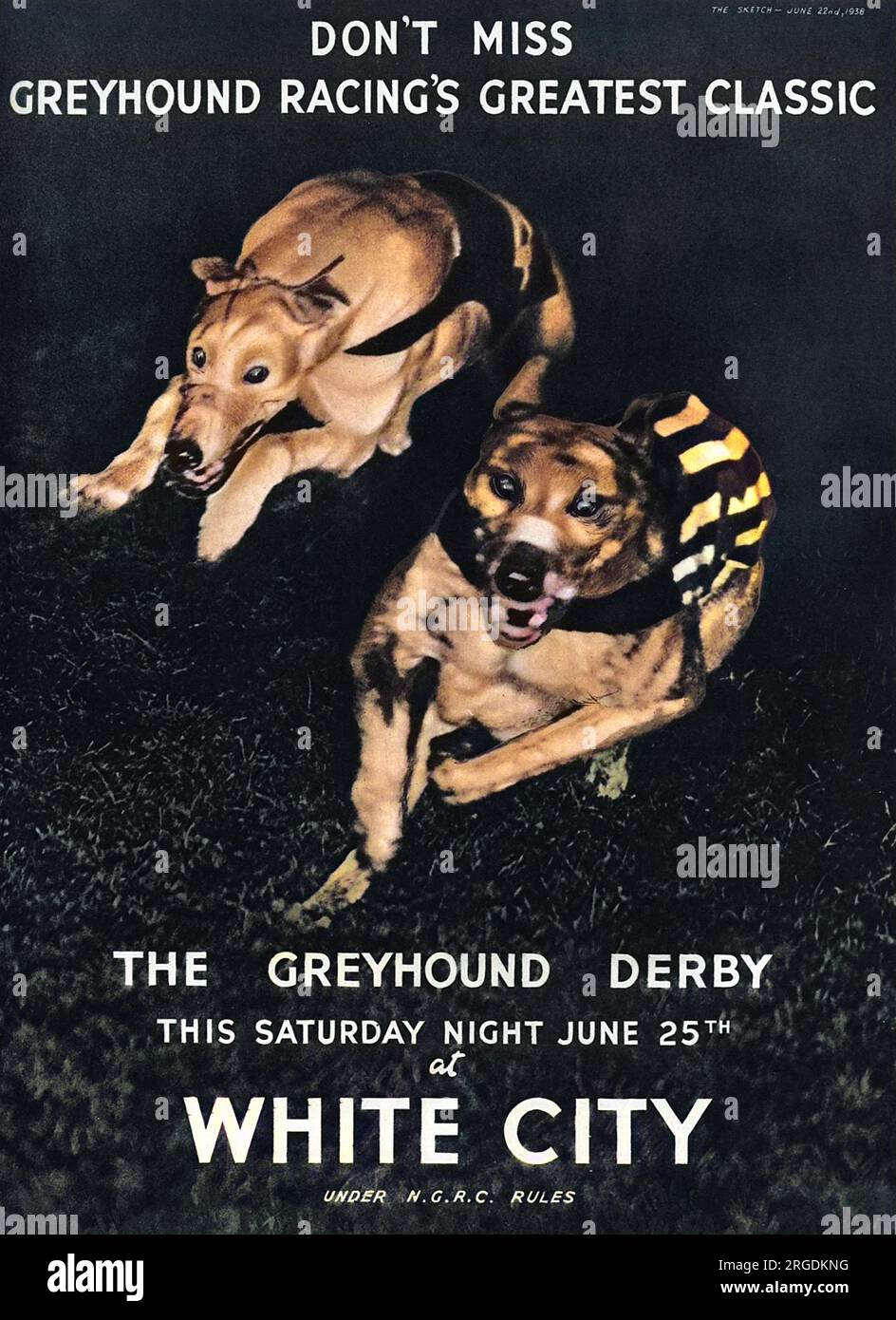 Werbung für das Greyhound Derby auf der White City Stadion-Rennstrecke am 25. Juni 1938. „Verpassen Sie nicht den besten Windhundrennen-Klassiker“. Stockfoto