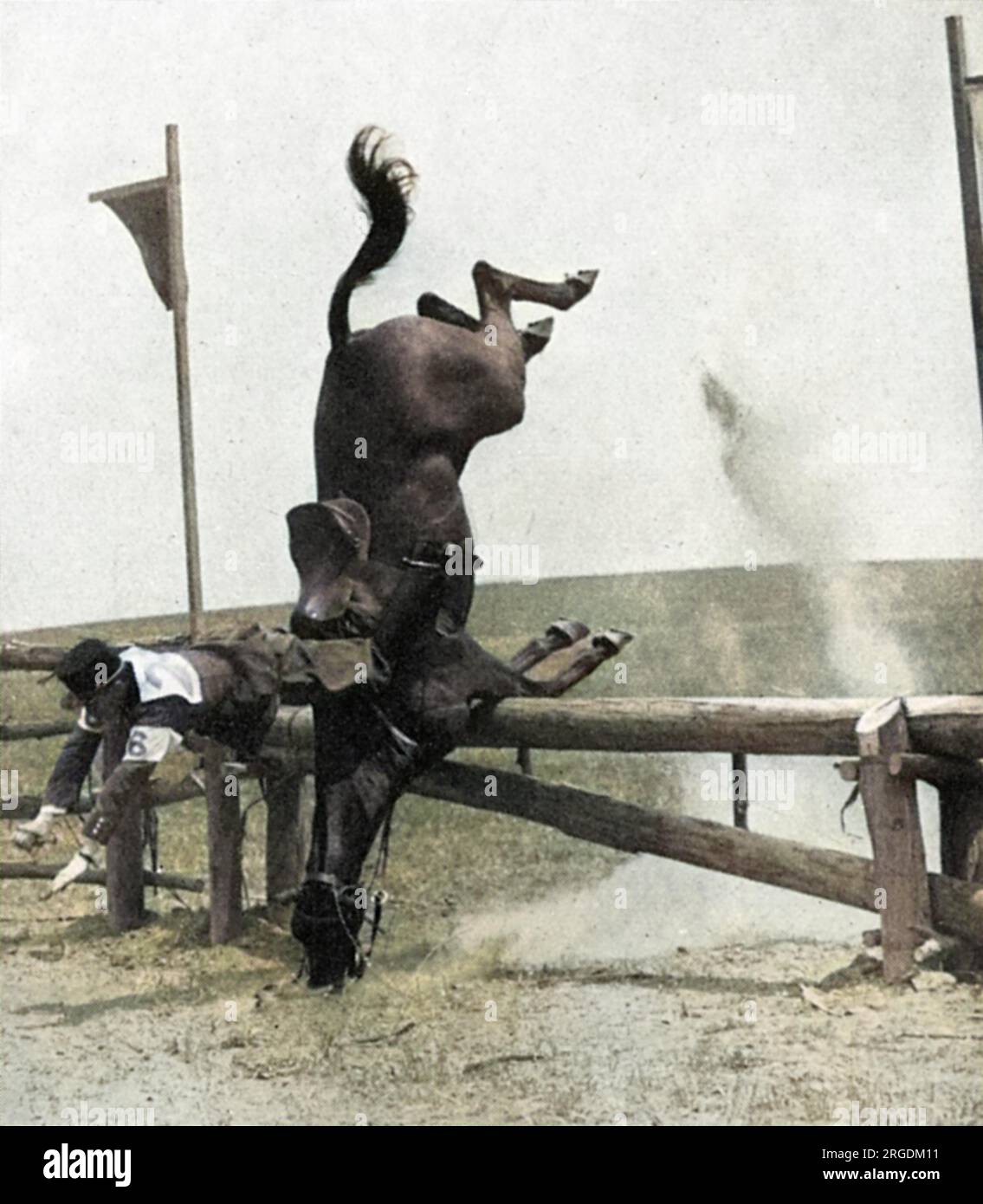 Olympisches Reiten bei den Olympischen Spielen 1932 in Los Angeles. Retnehazy, ein ungarischer Athlet, fällt während der Langlauftour im Fünfkampf. Sein Pferd sieht darüber auch nicht sehr glücklich aus. Stockfoto