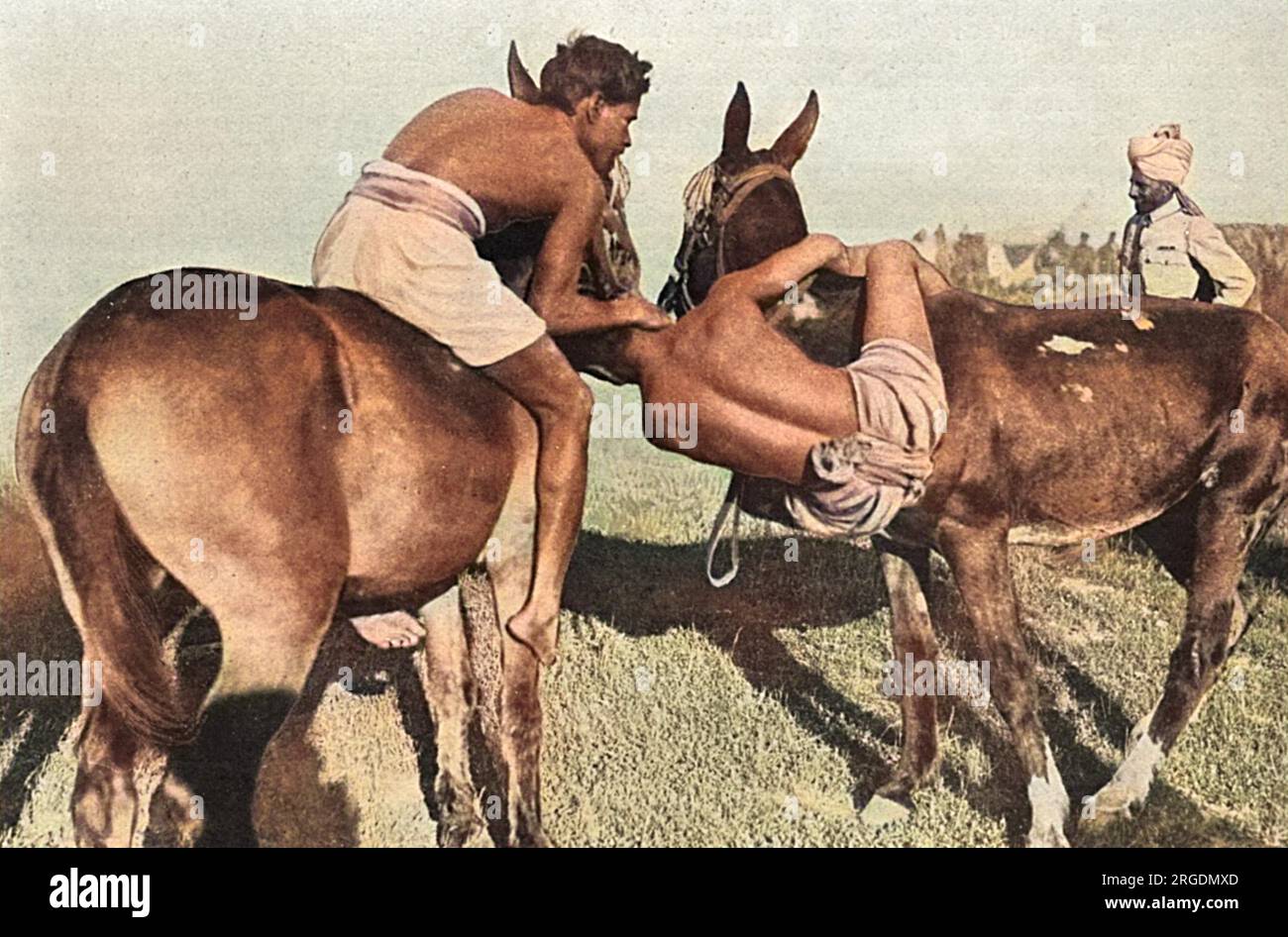 Ein Ringkampf während des Reitens von Maultieren und indischen Truppen auf einem Sporttreffen, das während des Ersten Weltkriegs in Salonika stattfand. Stockfoto