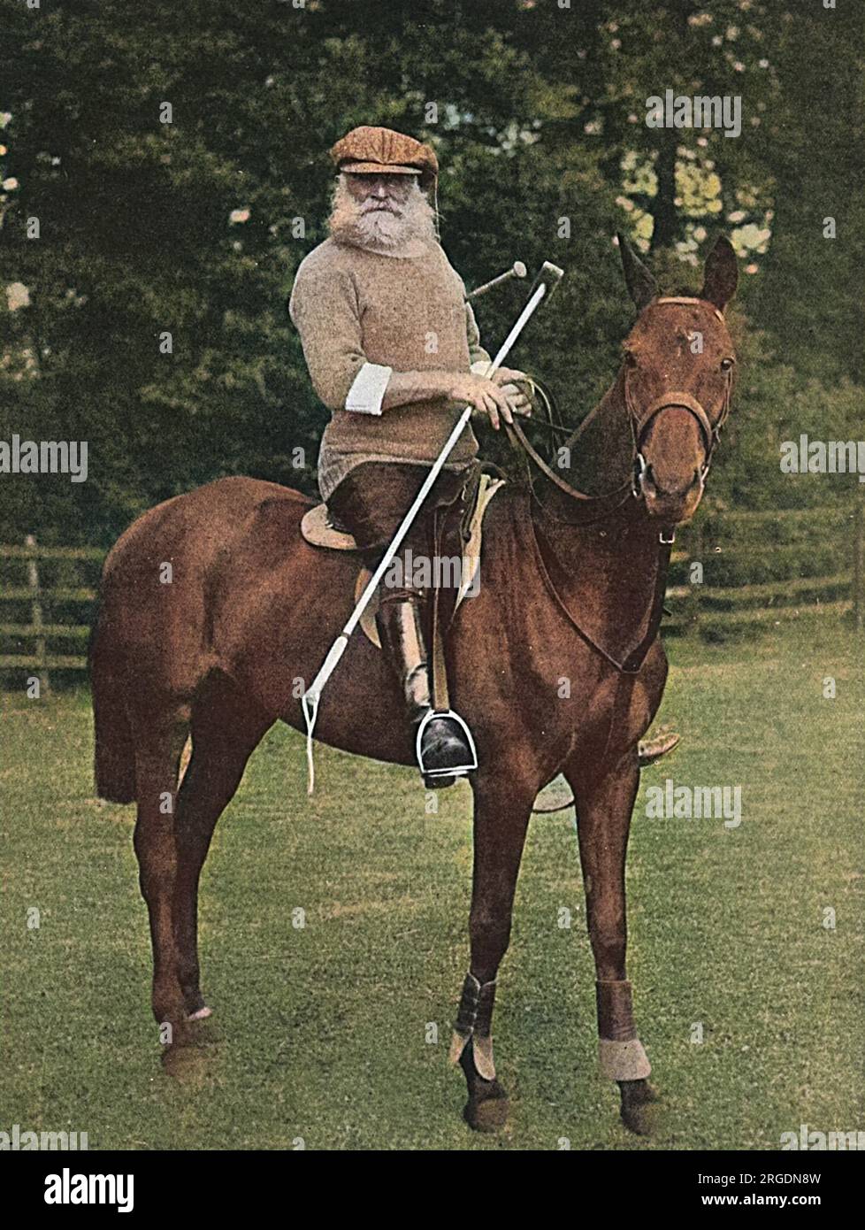 Charles Stanhope, 8. Earl of Harrington (1844-1917), britischer Peer- und Polospieler, auf einem Polopony abgebildet, trotz seines hohen Alters! Stockfoto