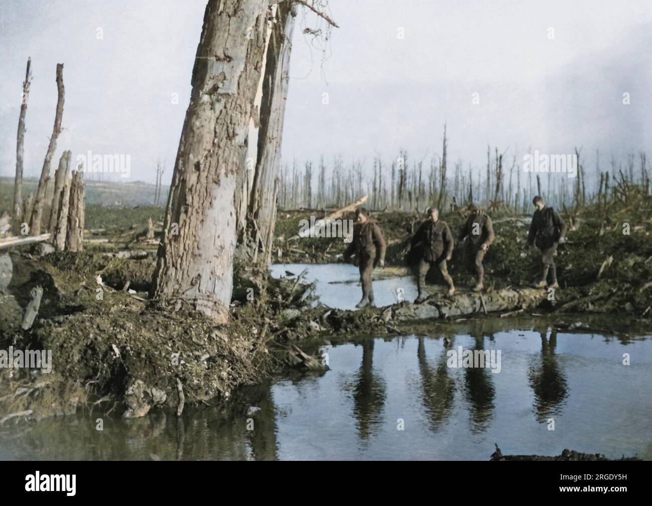 Britische Soldaten überquerten einen Wasserabschnitt auf einer improvisierten Brücke (einem gefallenen Baumstamm) an der Westfront im Ersten Weltkrieg. Stockfoto