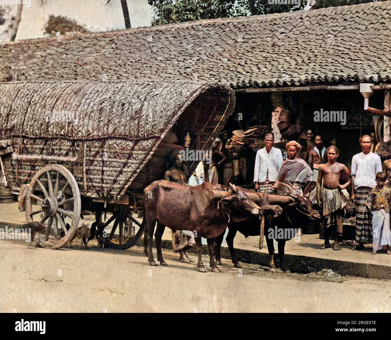 Leute mit einem Bullock Cart, Indien. Stockfoto