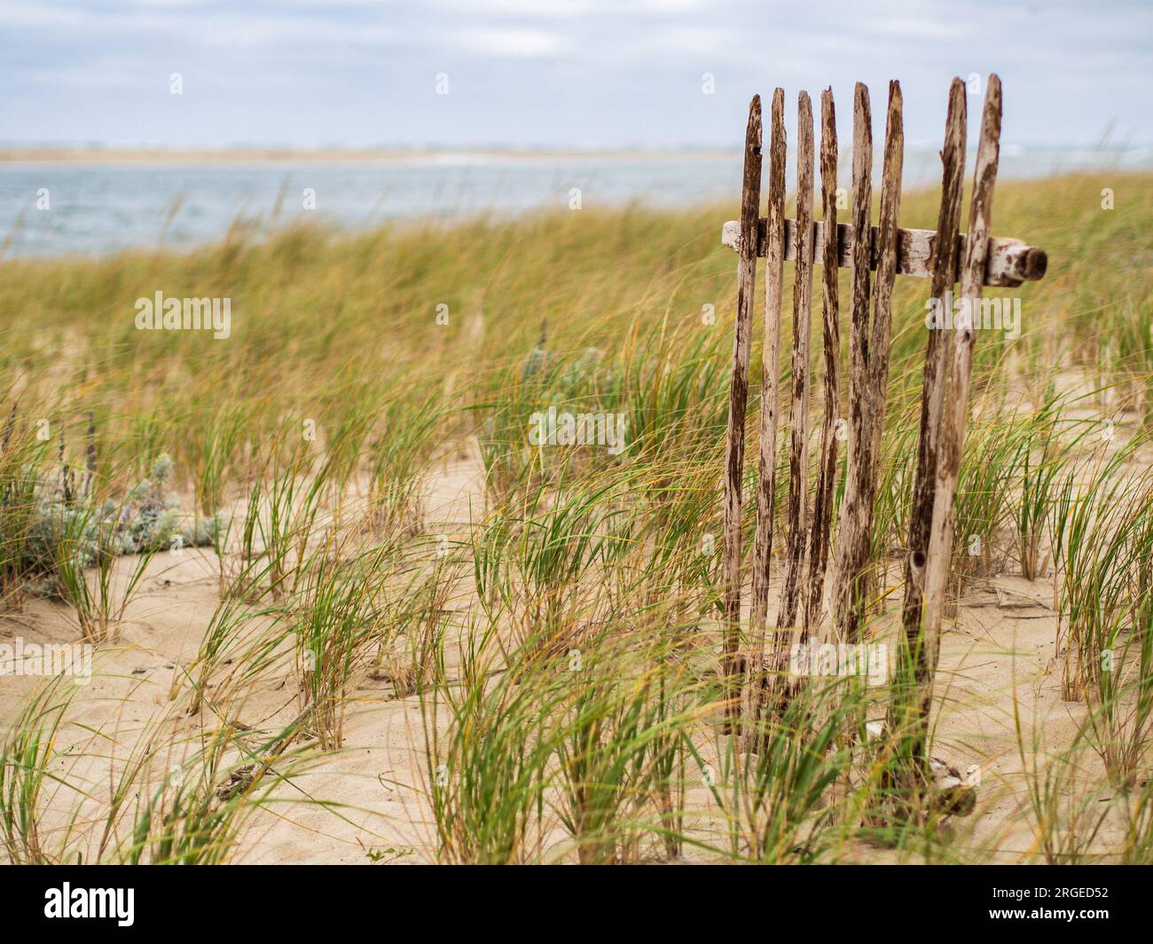 Vor dem Hintergrund von grasbedeckten Sanddünen steht ein Teil eines alten Holzzauns stabil. Stockfoto