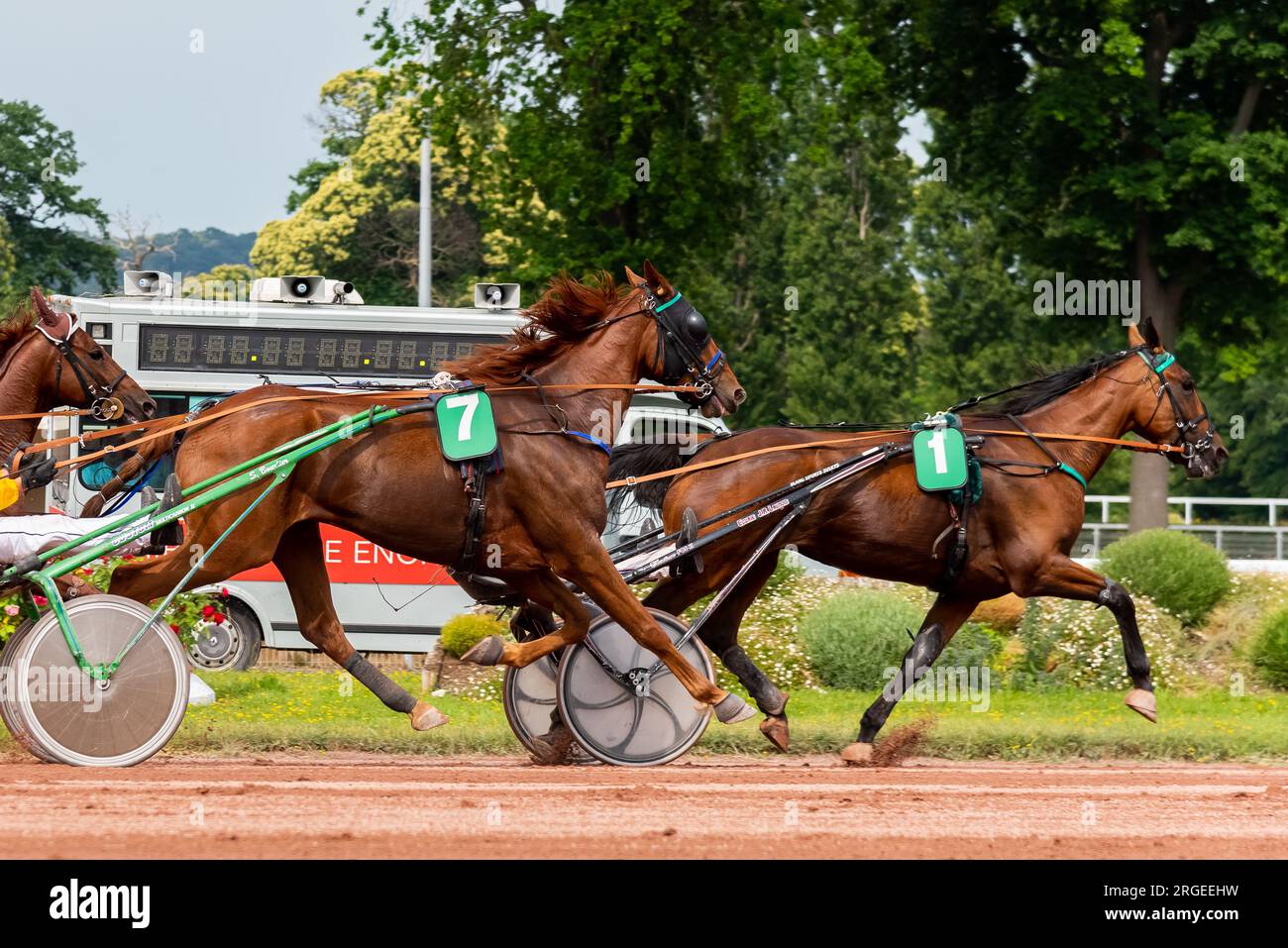 Quinté + Pferderennen. Trabrennen auf der Rennbahn von Enghien-les-Bains in Frankreich Stockfoto