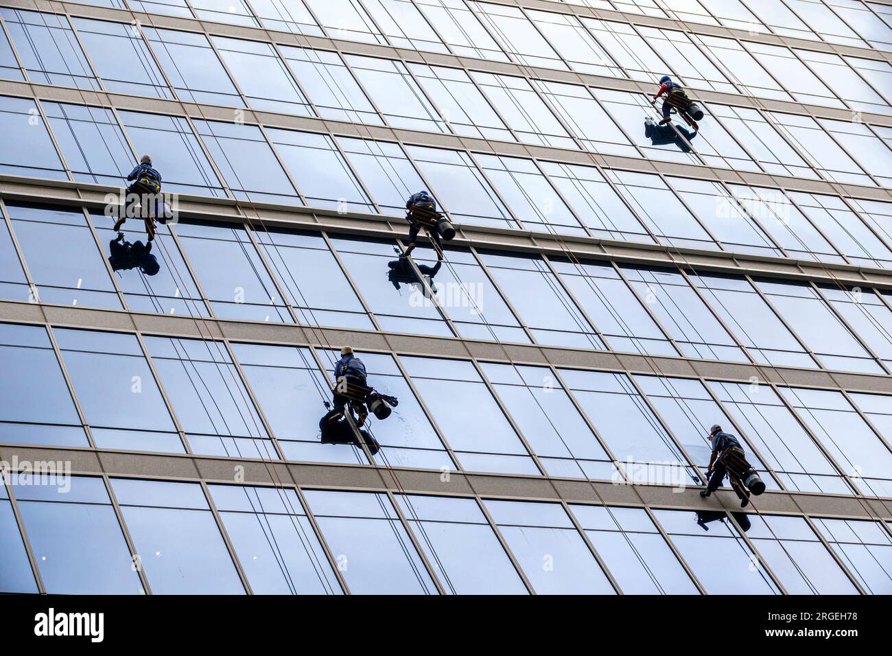 Charlotte North Carolina, South Tryon Street, Fensterwaschmaschinen Hängende Seile, gefährliche Arbeitssicherheit, lateinamerikanischer Latino, ethnisch e Stockfoto