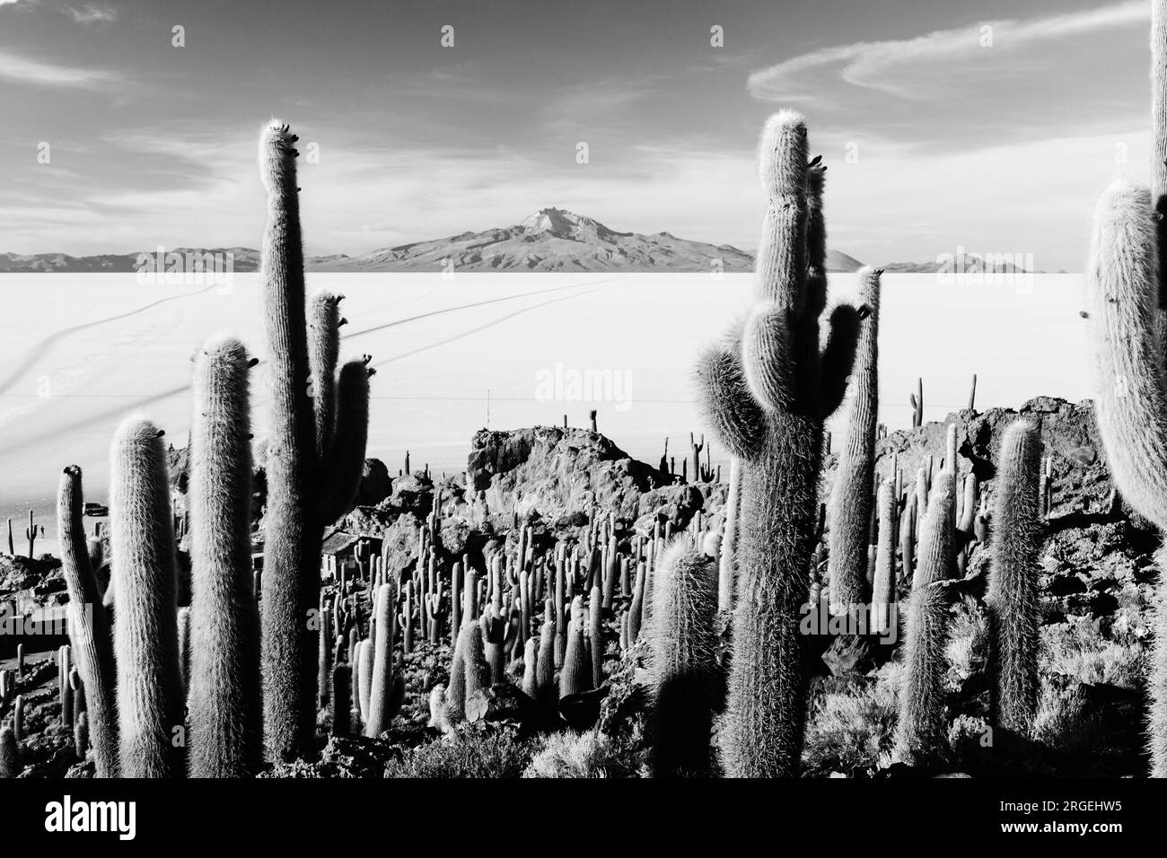 Vulkan Tunupa ab Isla Incahuasi (Kaktusinsel) | Uyuni, Bolivien Stockfoto