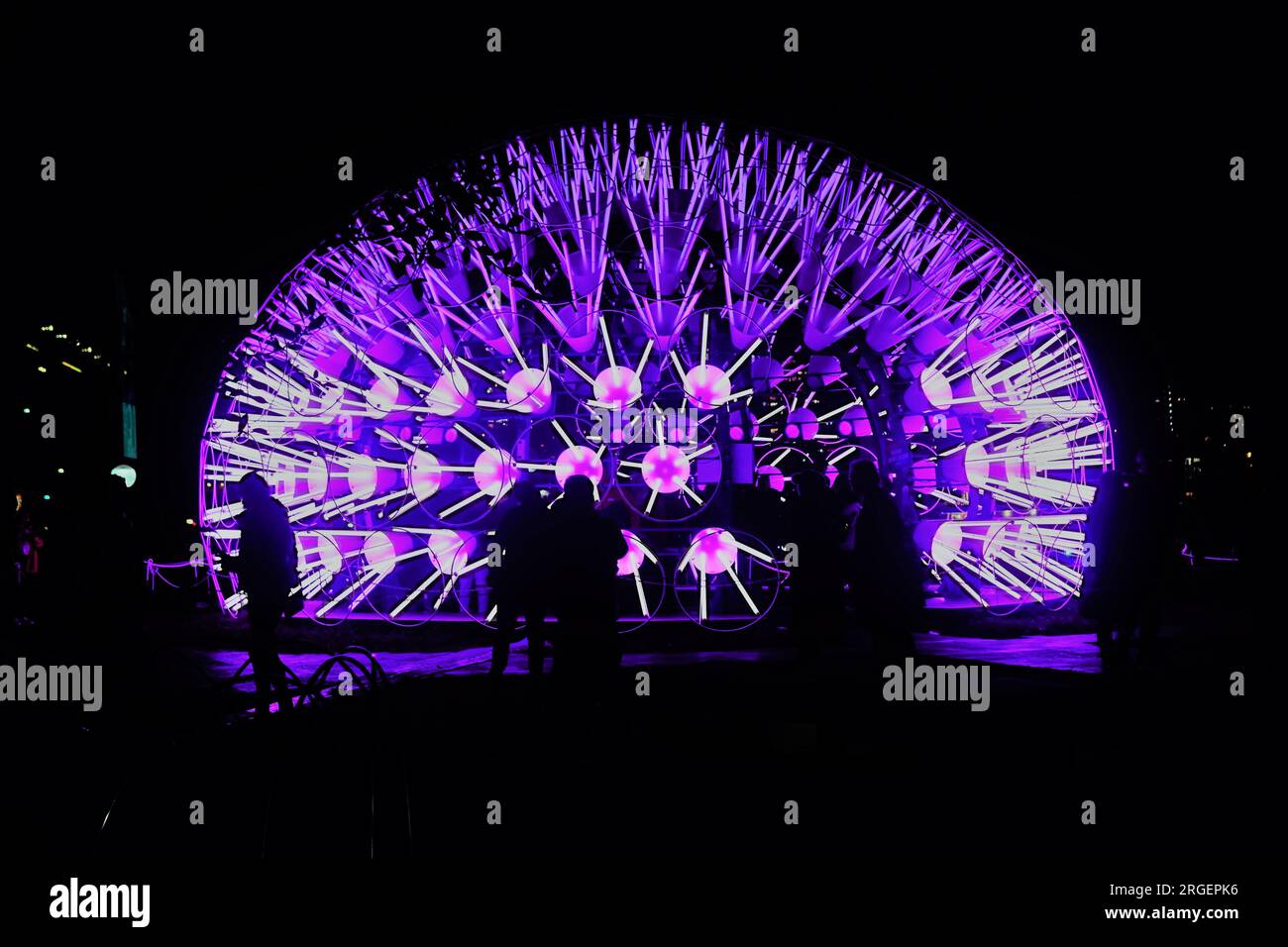 Während des Vivid 2023 in Sydney wurden die Menschen gegen die LÖWENZAHN-Licht-Installation von Amigo und Amigo in Silhouetten gehalten Stockfoto