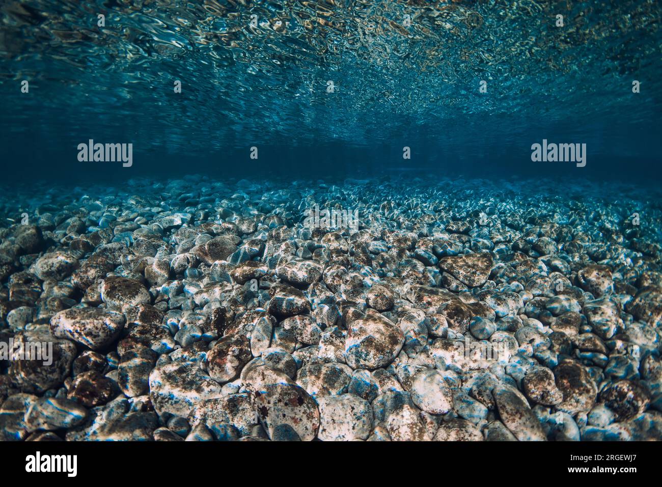 Unterwasserszene mit Steinboden und Reflexion auf der Oberfläche des Ozeans. Stockfoto