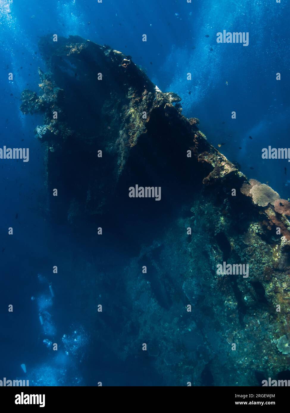 Tauchen im USAT Liberty Wreck in Tulamben, Bali. Freizügig in der Tiefsee Stockfoto