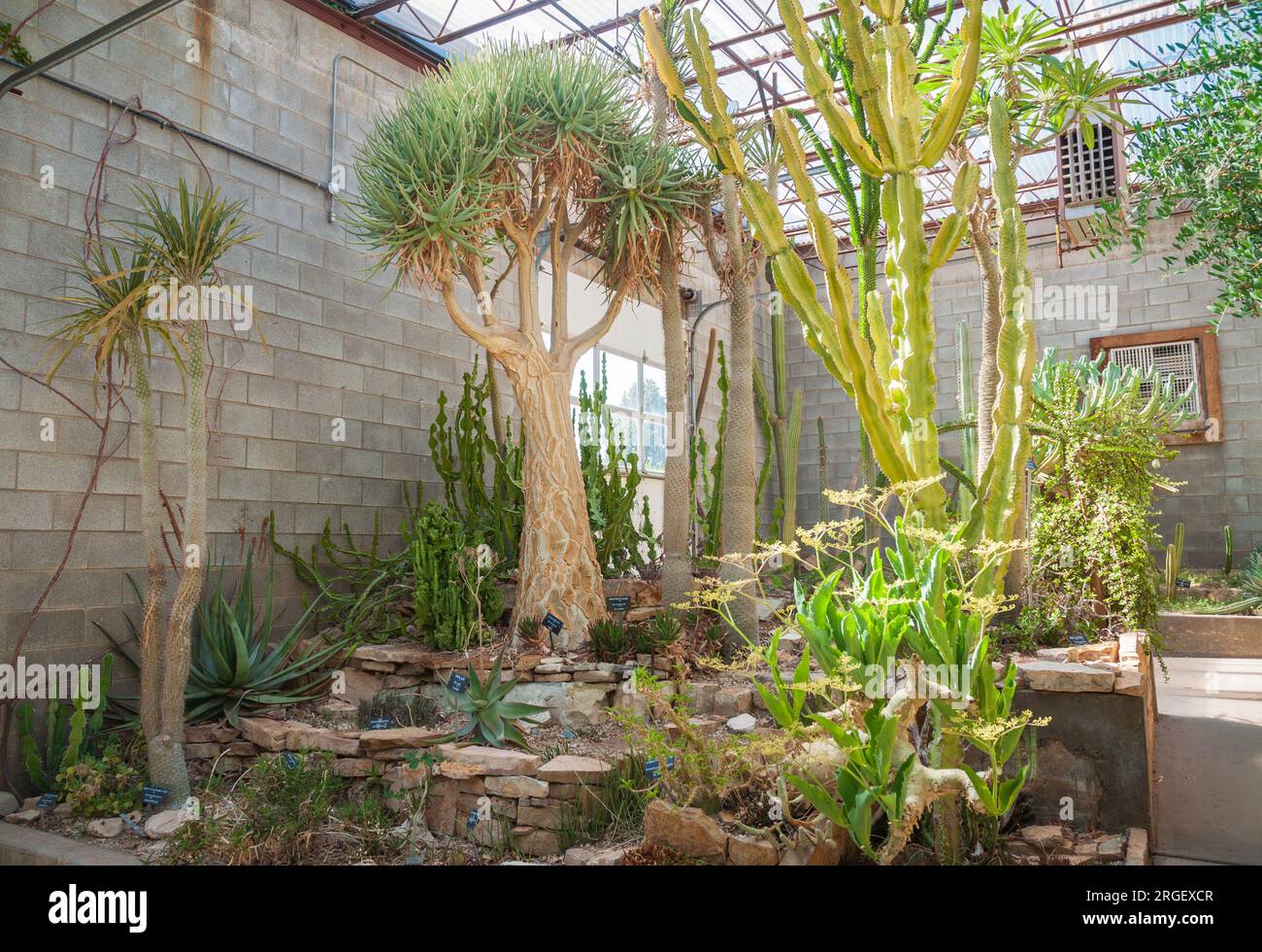 Living Desert Zoo Gardens State Park in New Mexico Stockfoto