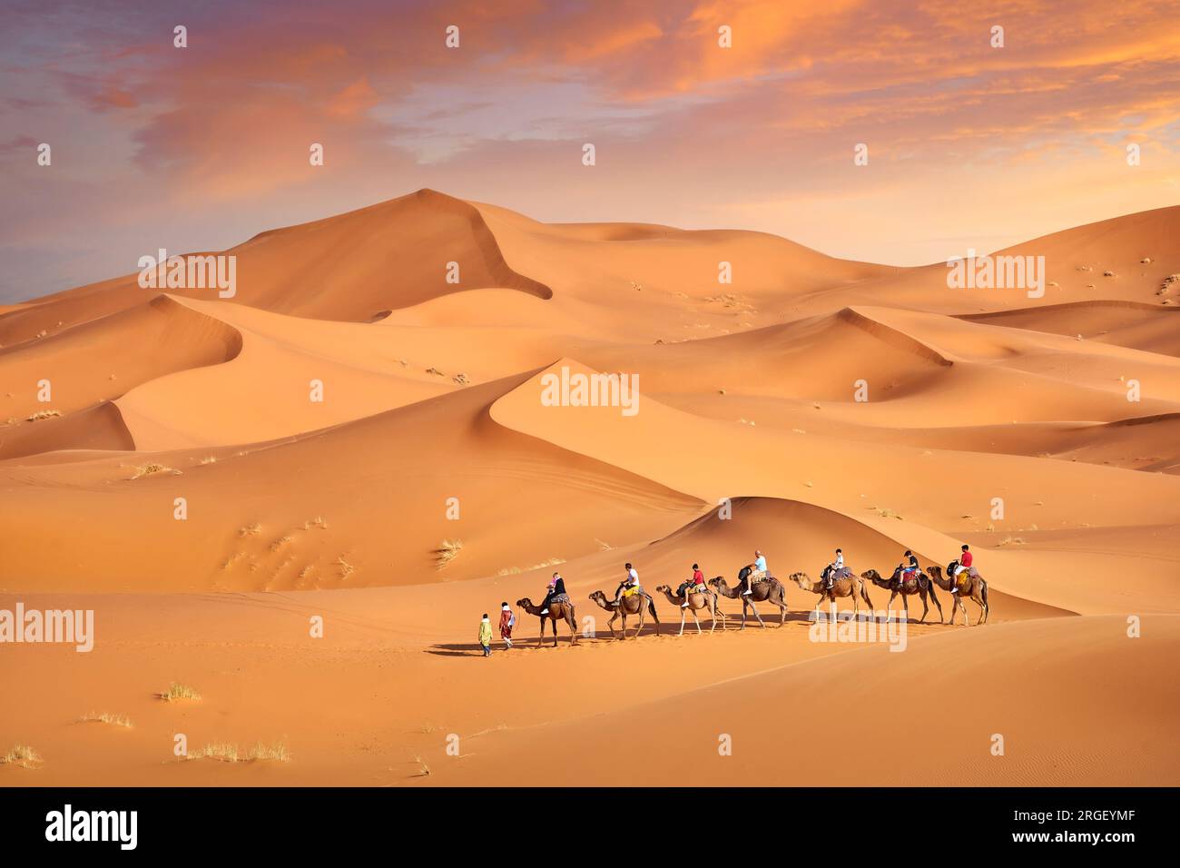 Kamelkarawane, Erg Chebbi Wüste bei Merzouga, Sahara, Marokko, Afrika Stockfoto