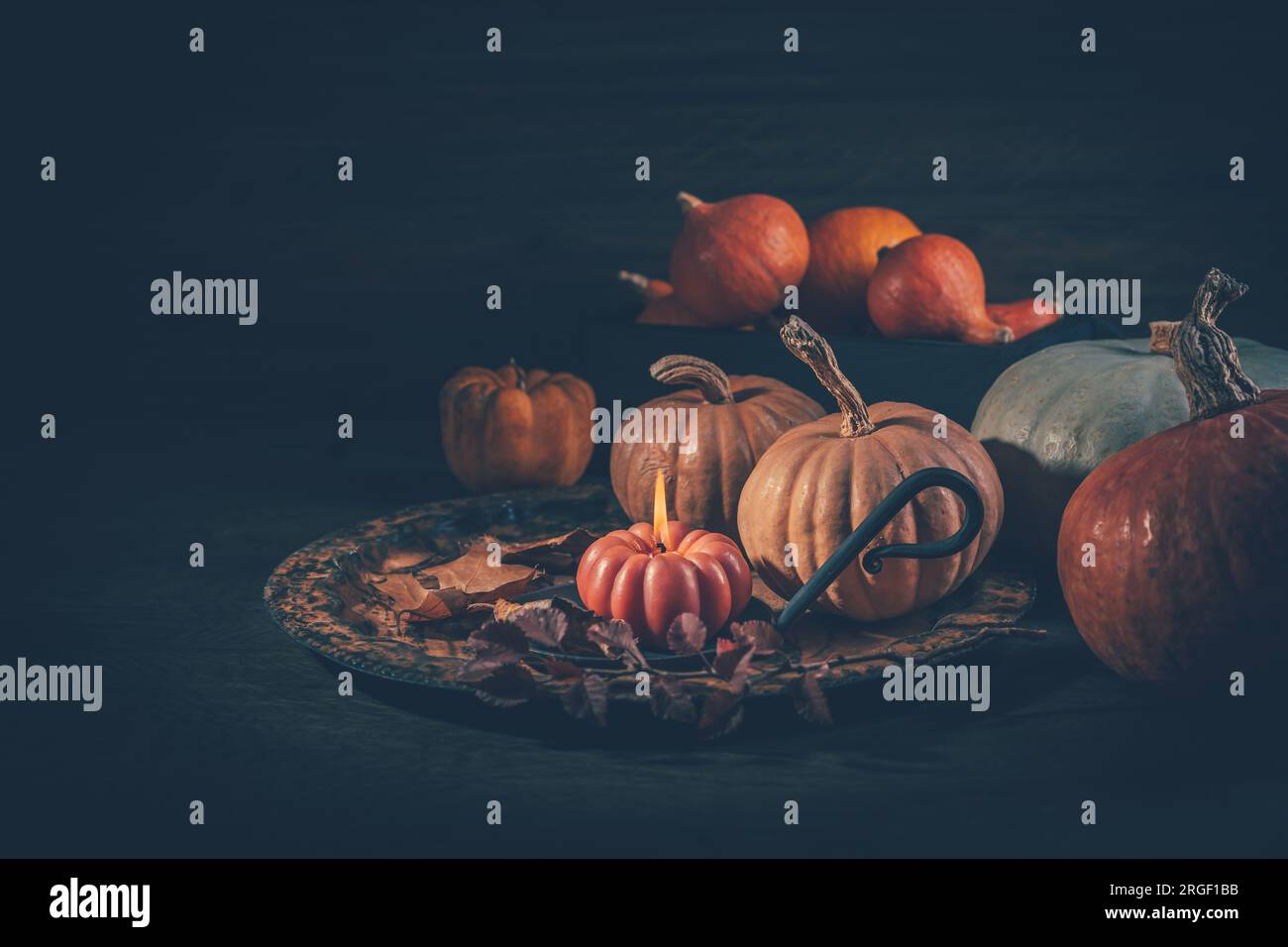 Konzept der Herbsternte mit Kürbissen und Kerzen auf dunklem Holzhintergrund Stockfoto