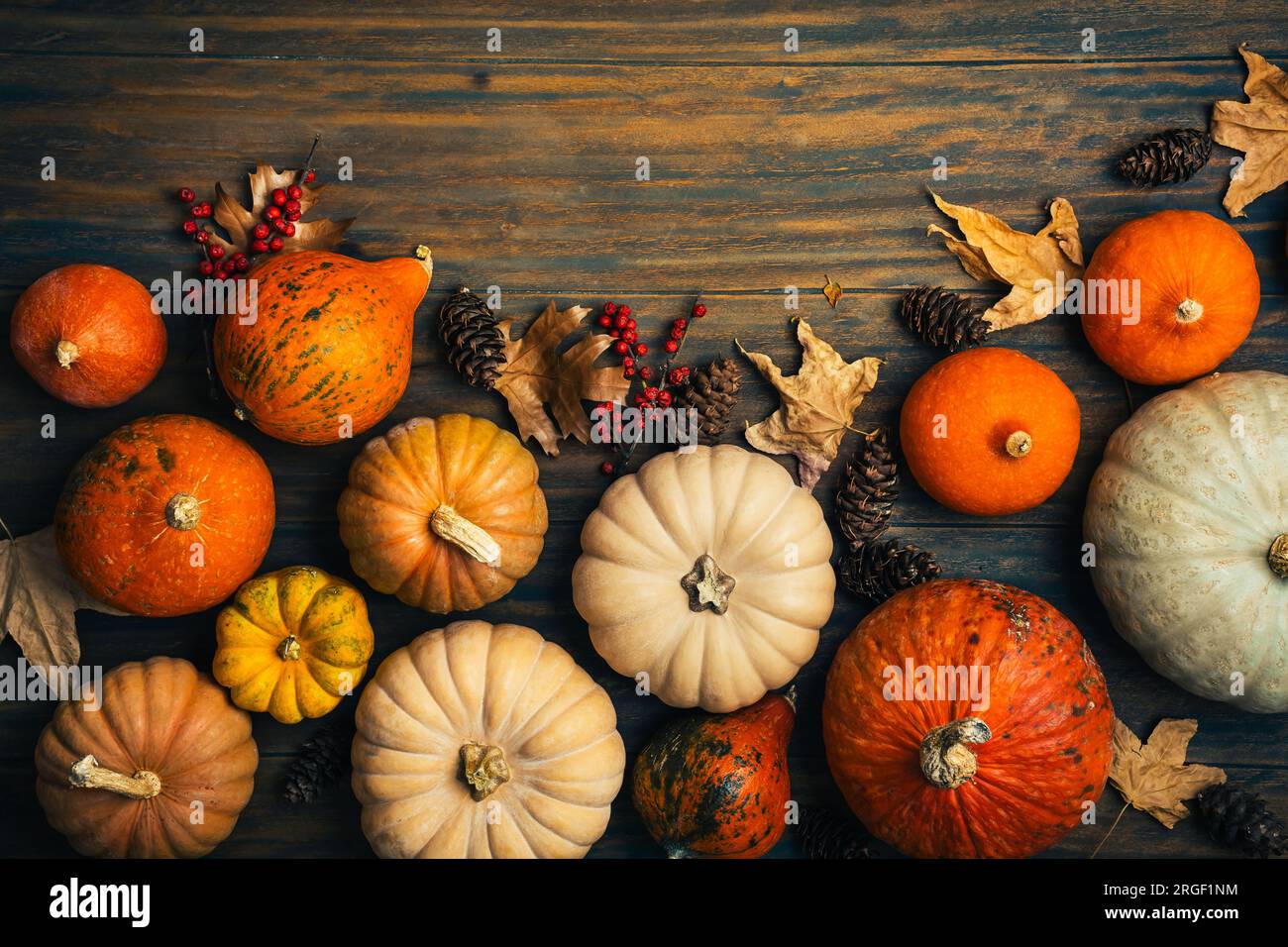 Thanksgiving und Herbstdekoration mit verschiedenen Kürbissen und getrockneten Blättern auf Holzhintergrund Stockfoto